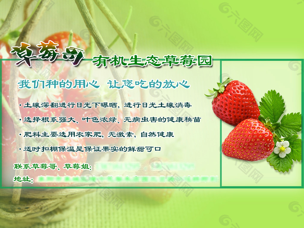 草莓广告展板