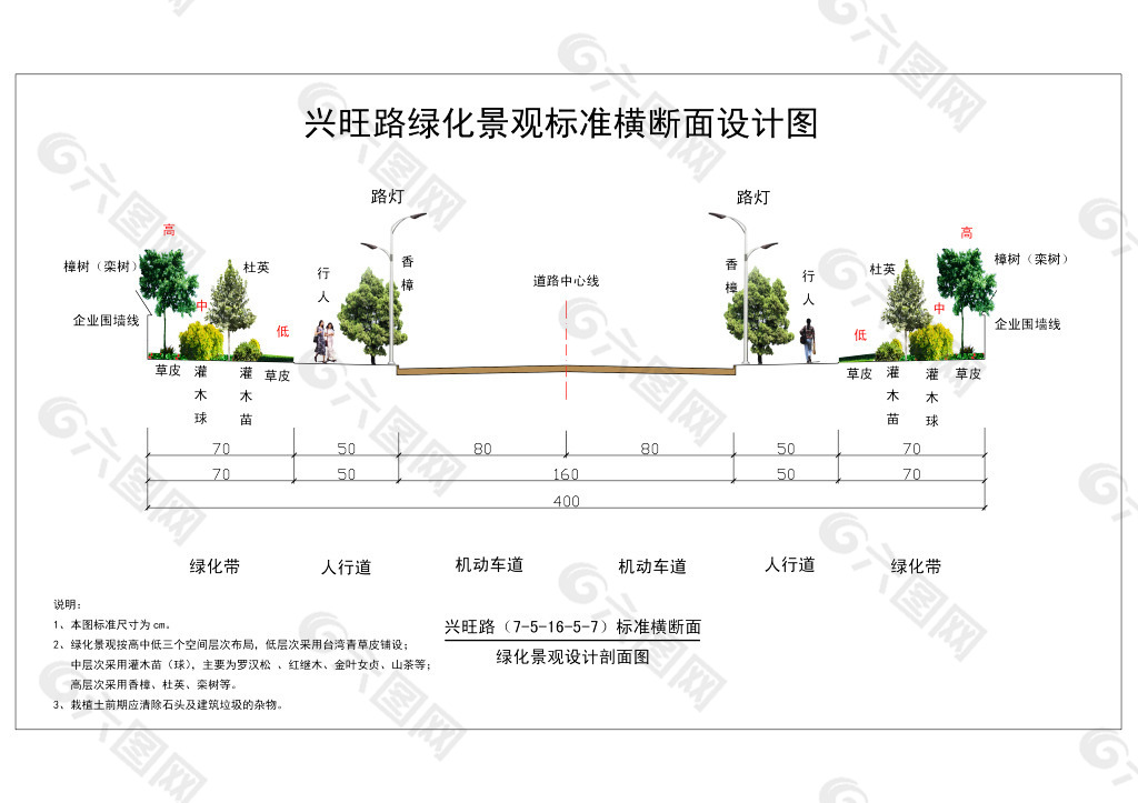 兴旺路绿化横断面图