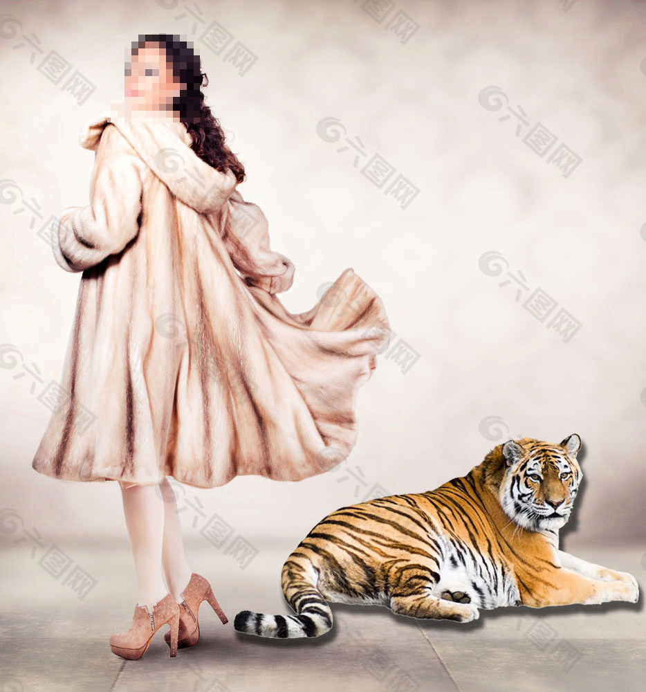 美女与老虎