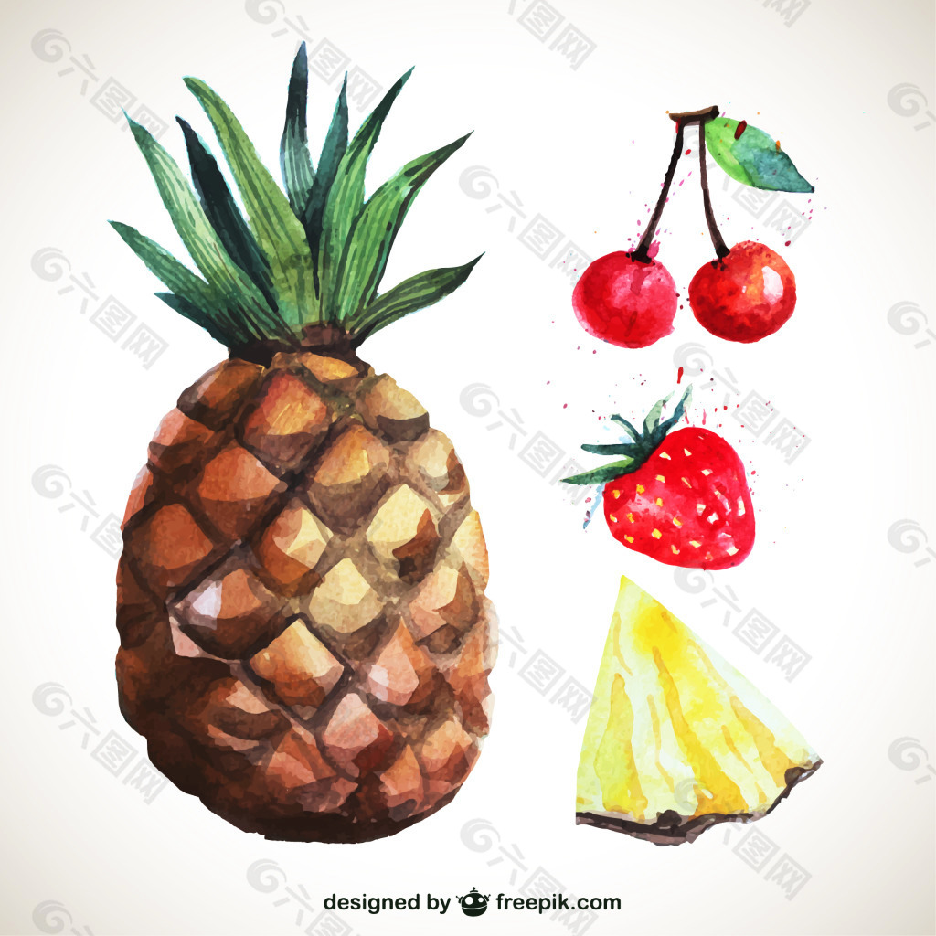 菠萝水果矢量素材