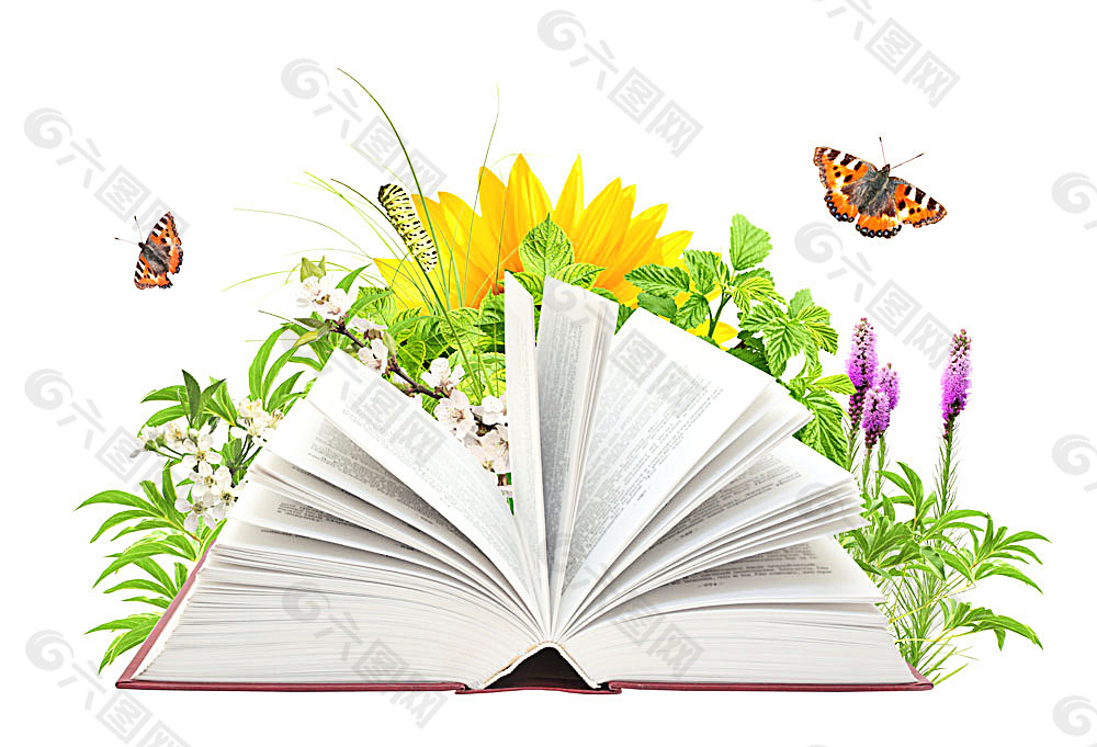 书本与鲜花蝴蝶