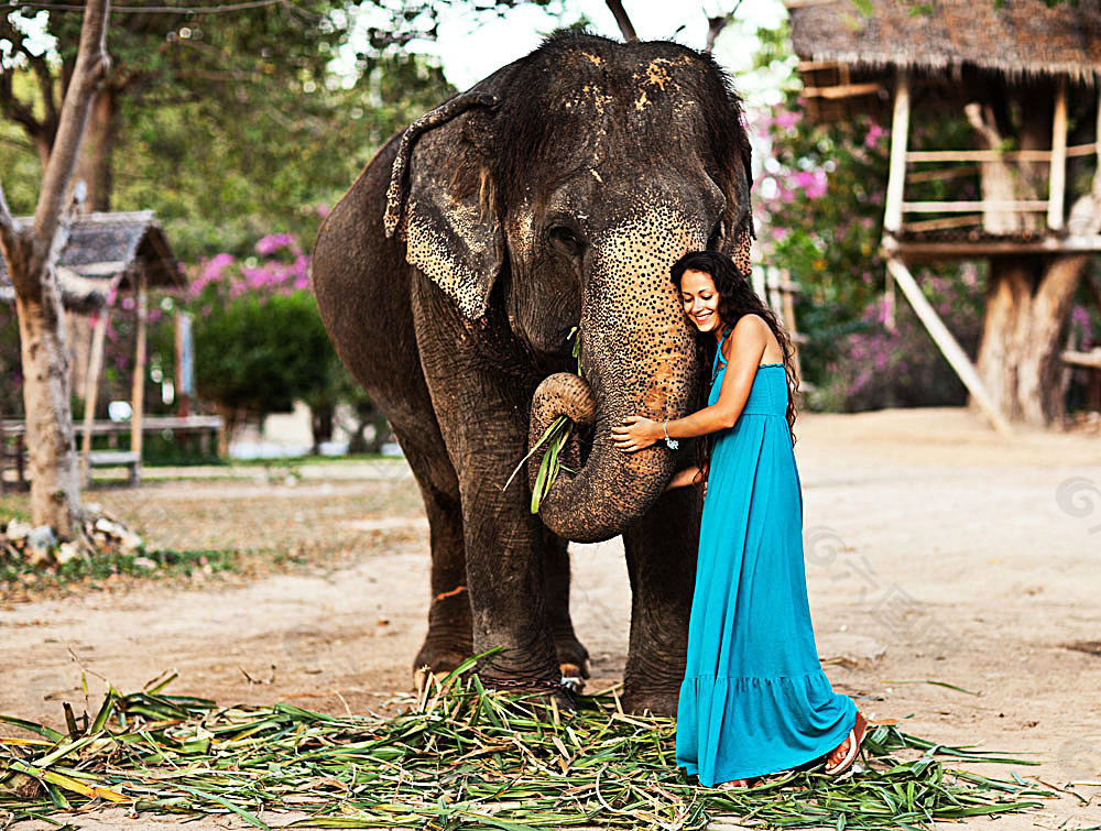 泰国美女和大象