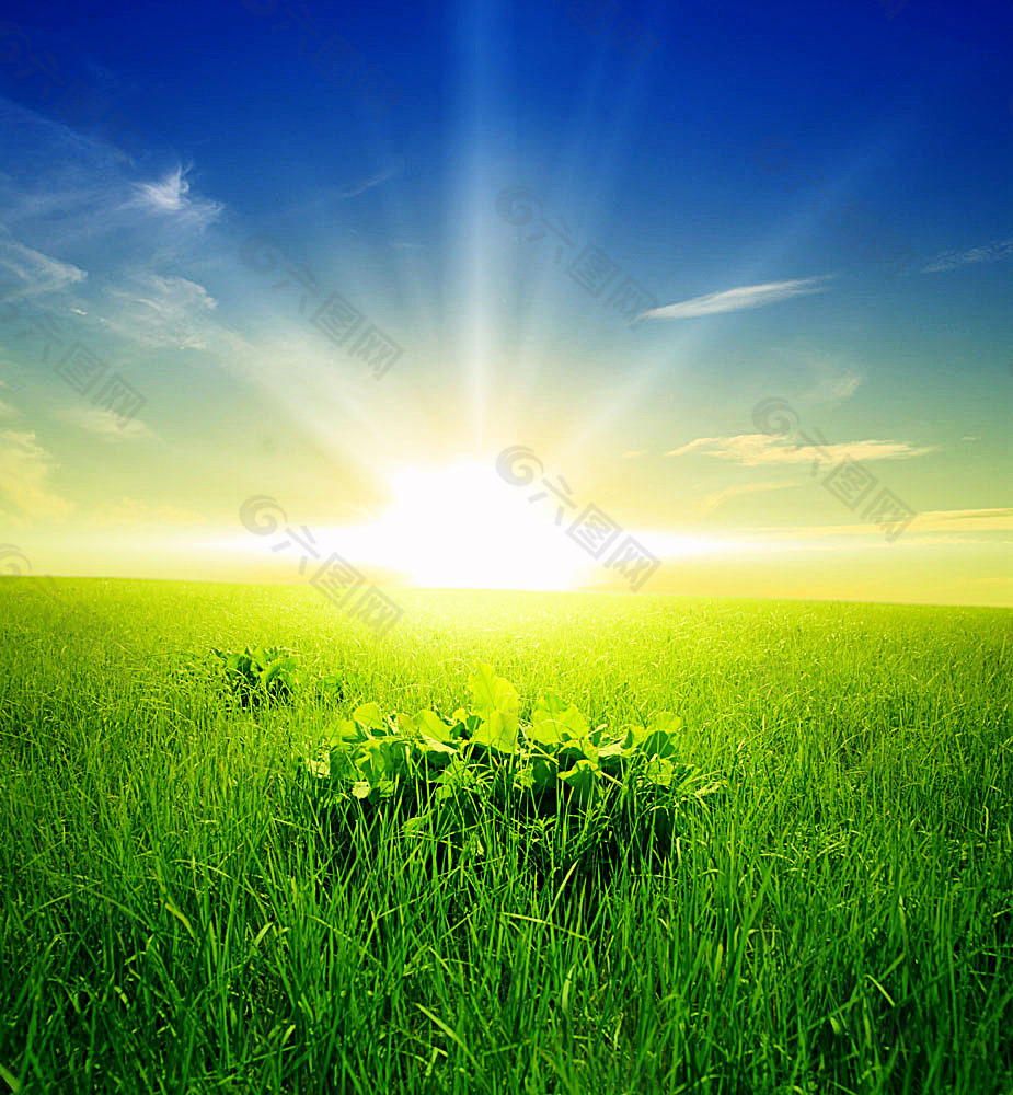 绿色环保背景素材