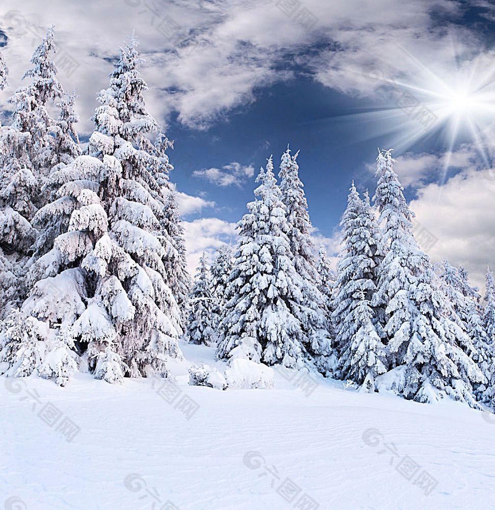 最美雪景 背景图片图片
