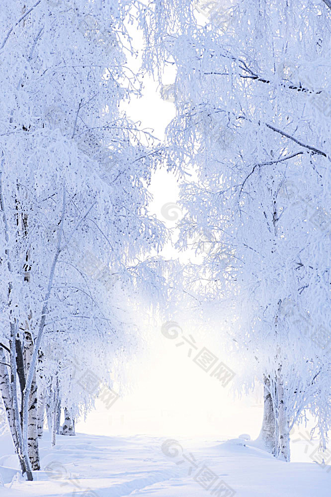 冬天风光背景素材背景素材免费下载(图片编号:5895909)