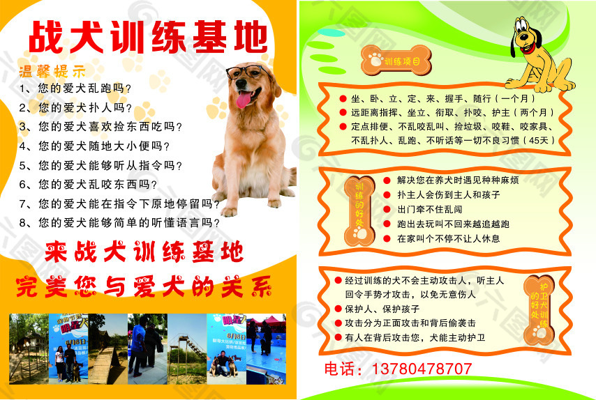 训犬广告海报图片