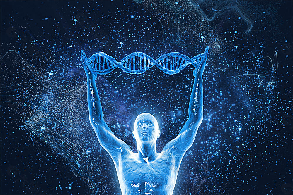 人物模型与DNA