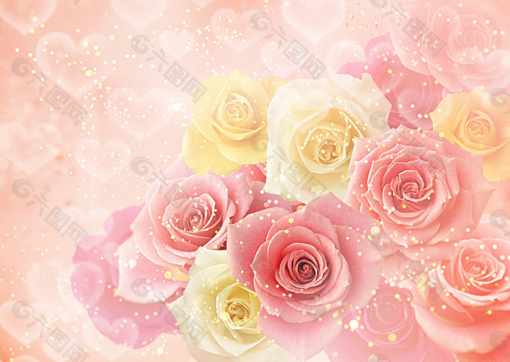 玫瑰花背景背景素材免费下载 图片编号 六图网