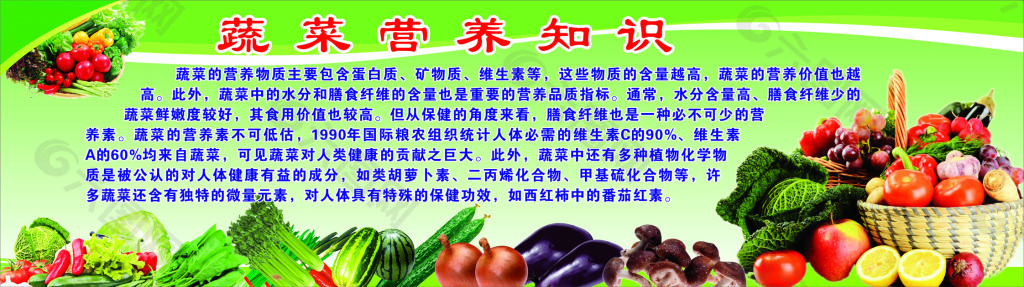 蔬菜营养知识