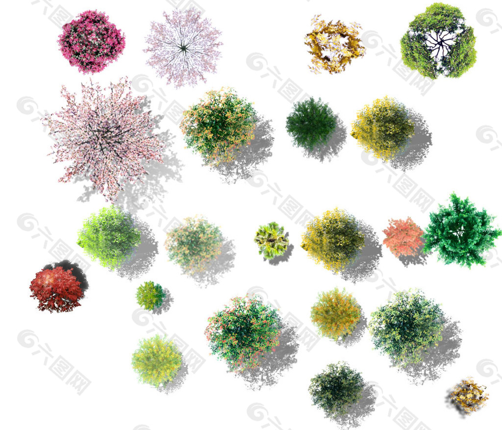 各种写实平面树