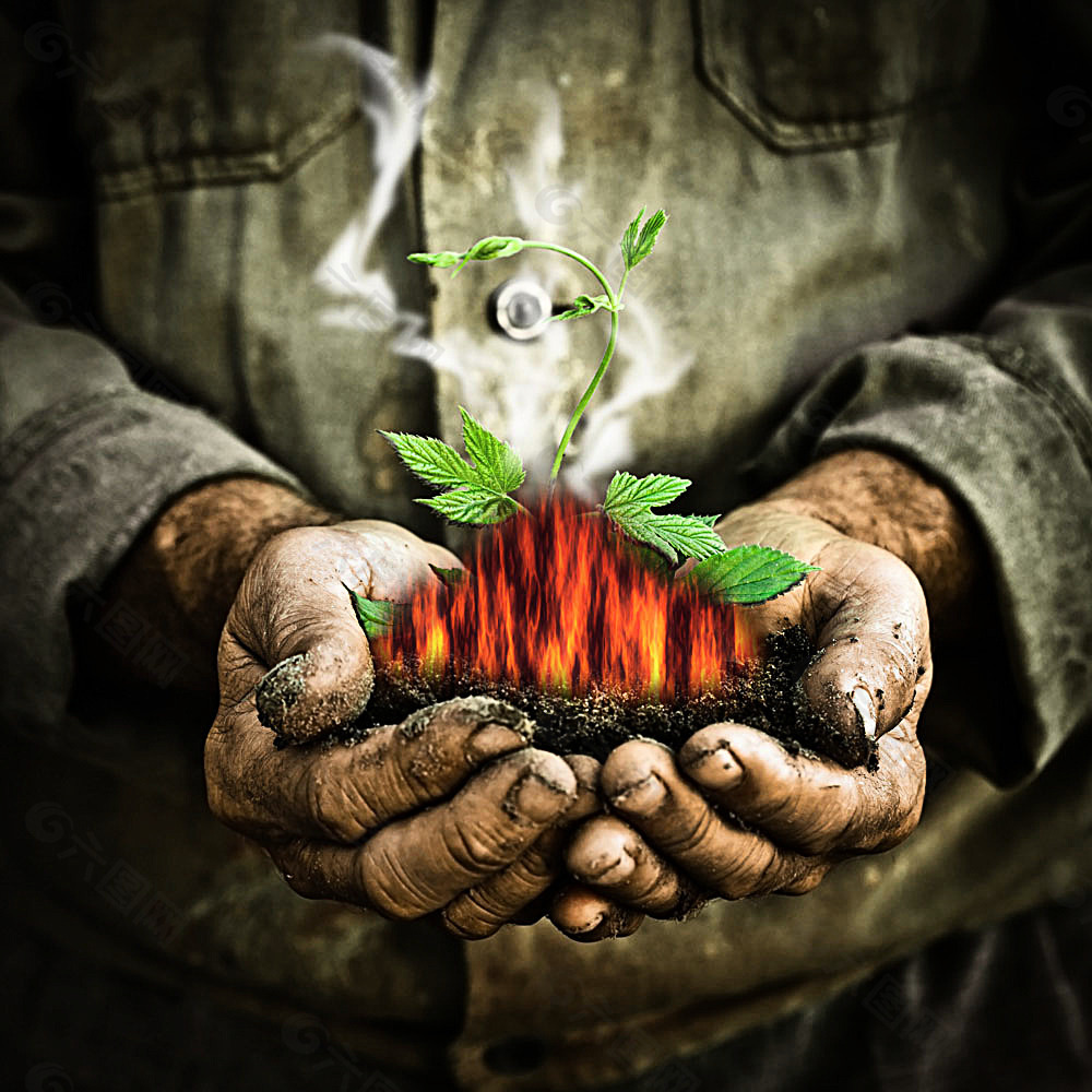 双手里的火焰与植物