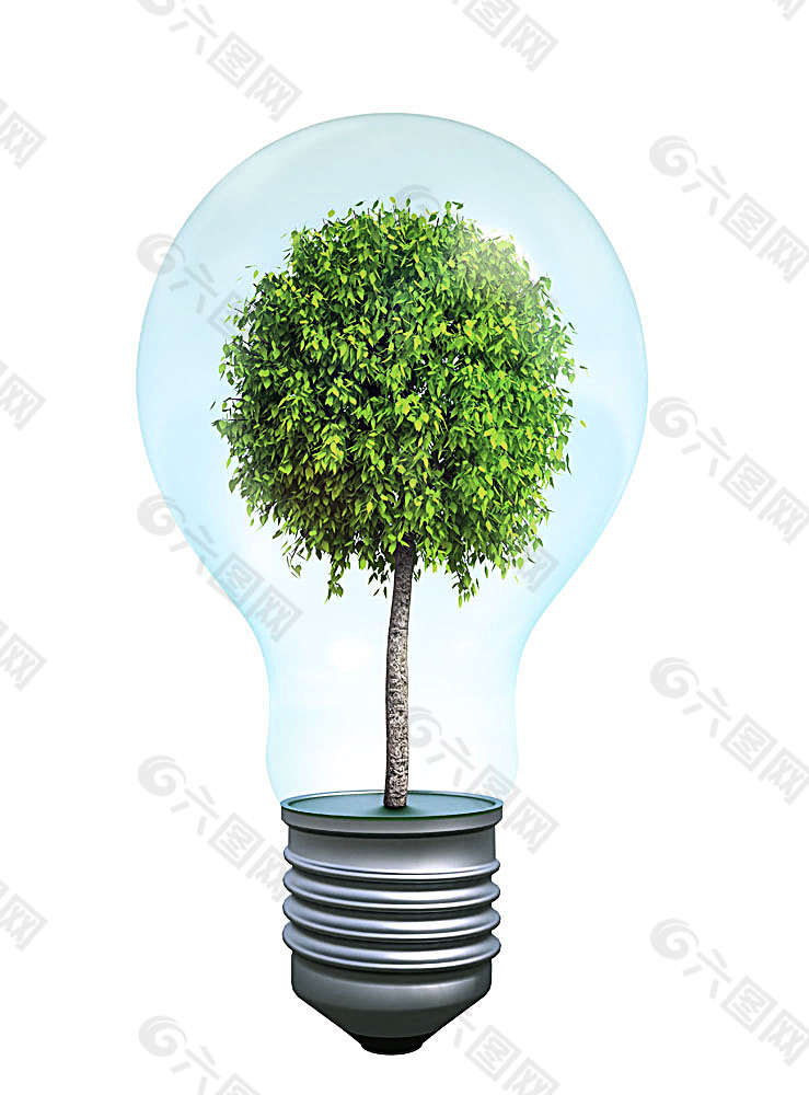 创意电灯泡与树木