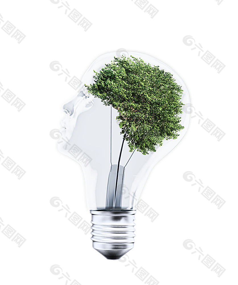 创意电灯泡与树木