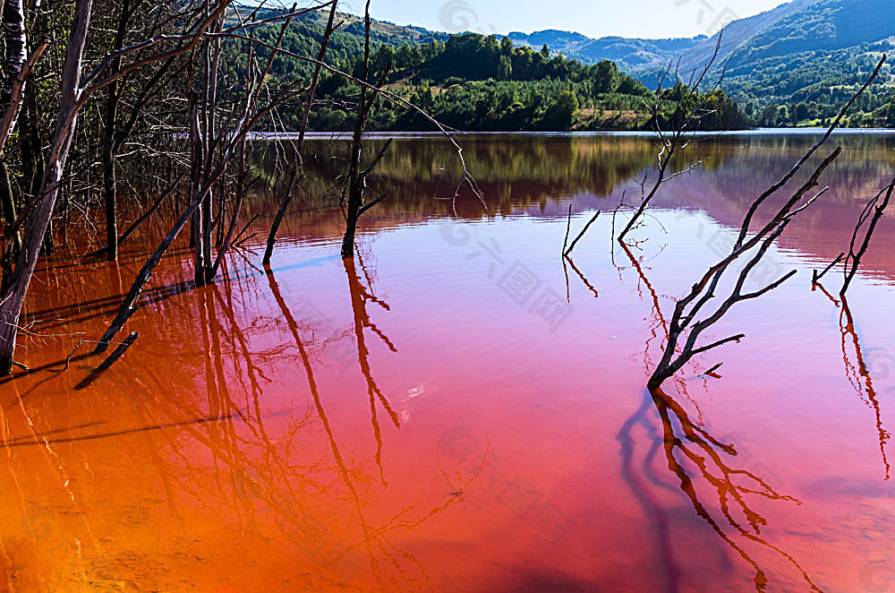湖水污染变色