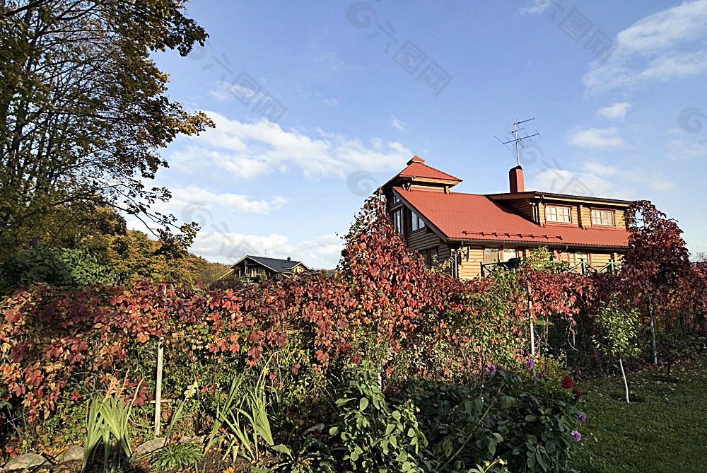 房子前的红叶与树木