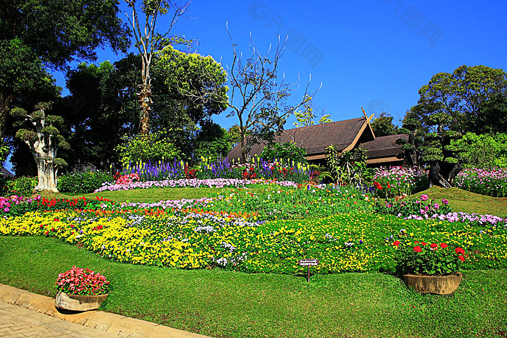 美丽花园风景