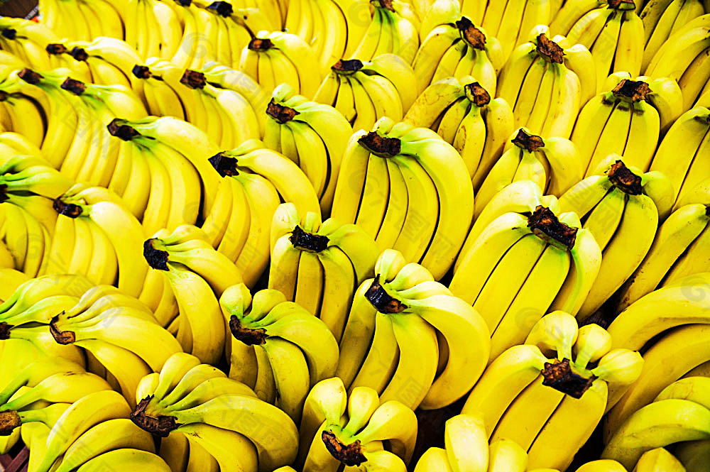 香蕉背景摄影图片