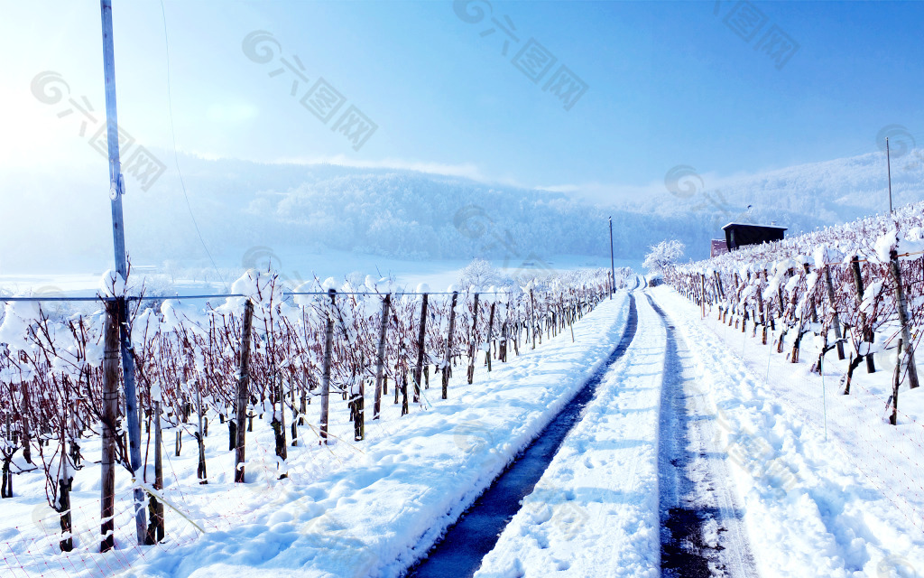 雪地背景背景素材背景素材免费下载 图片编号 六图网