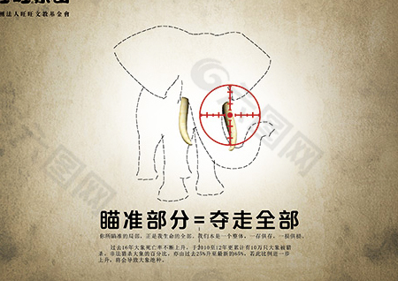 保护野生动物广告PSD