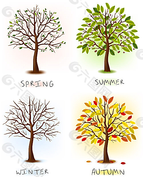 四颗树的不同变化