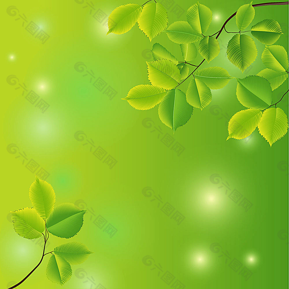 绿色树叶背景