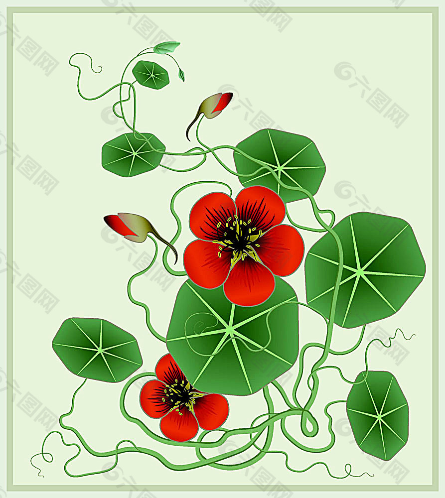 欧美花纹449