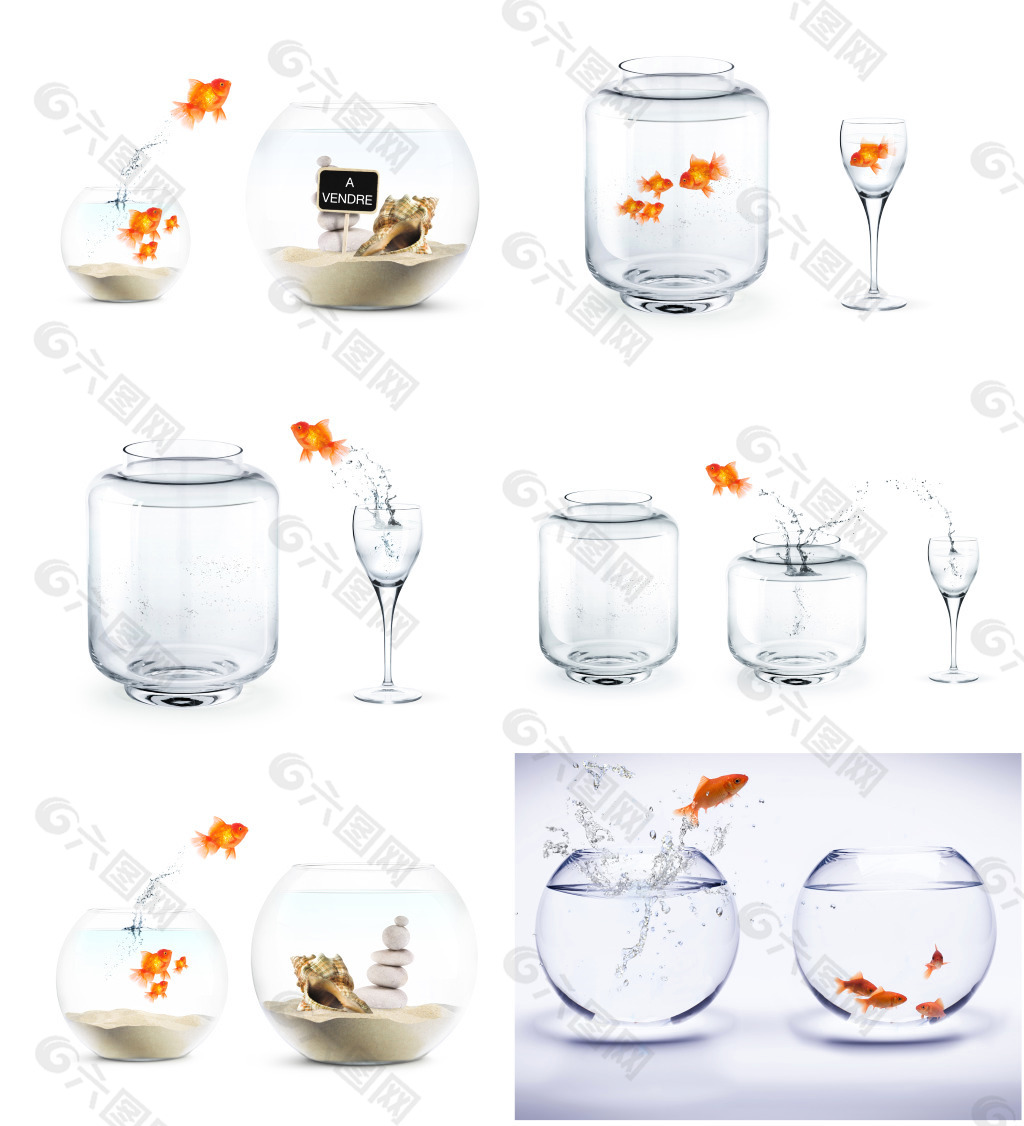玻璃瓶里的金鱼素材免费下载 图片编号 六图网