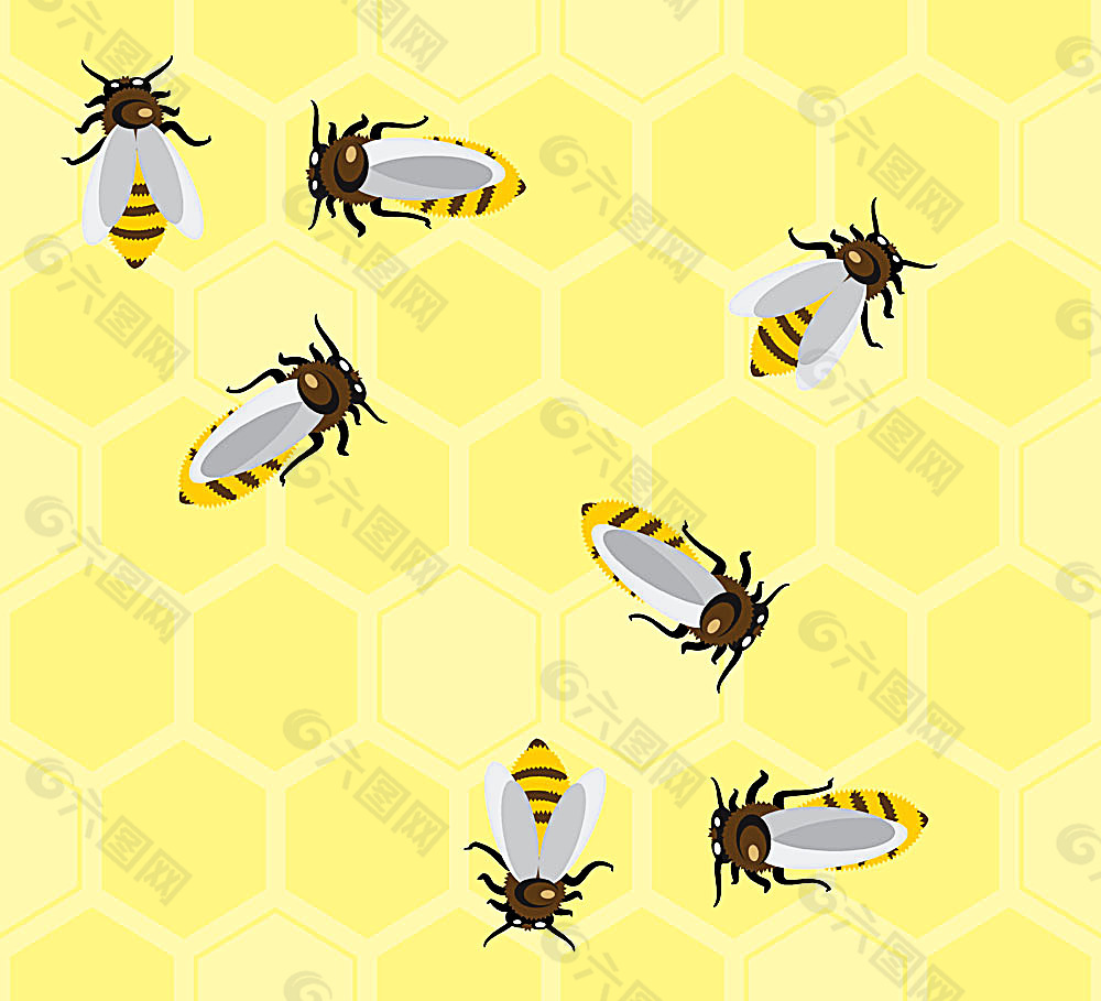 蜂巢上的卡通蜜蜂