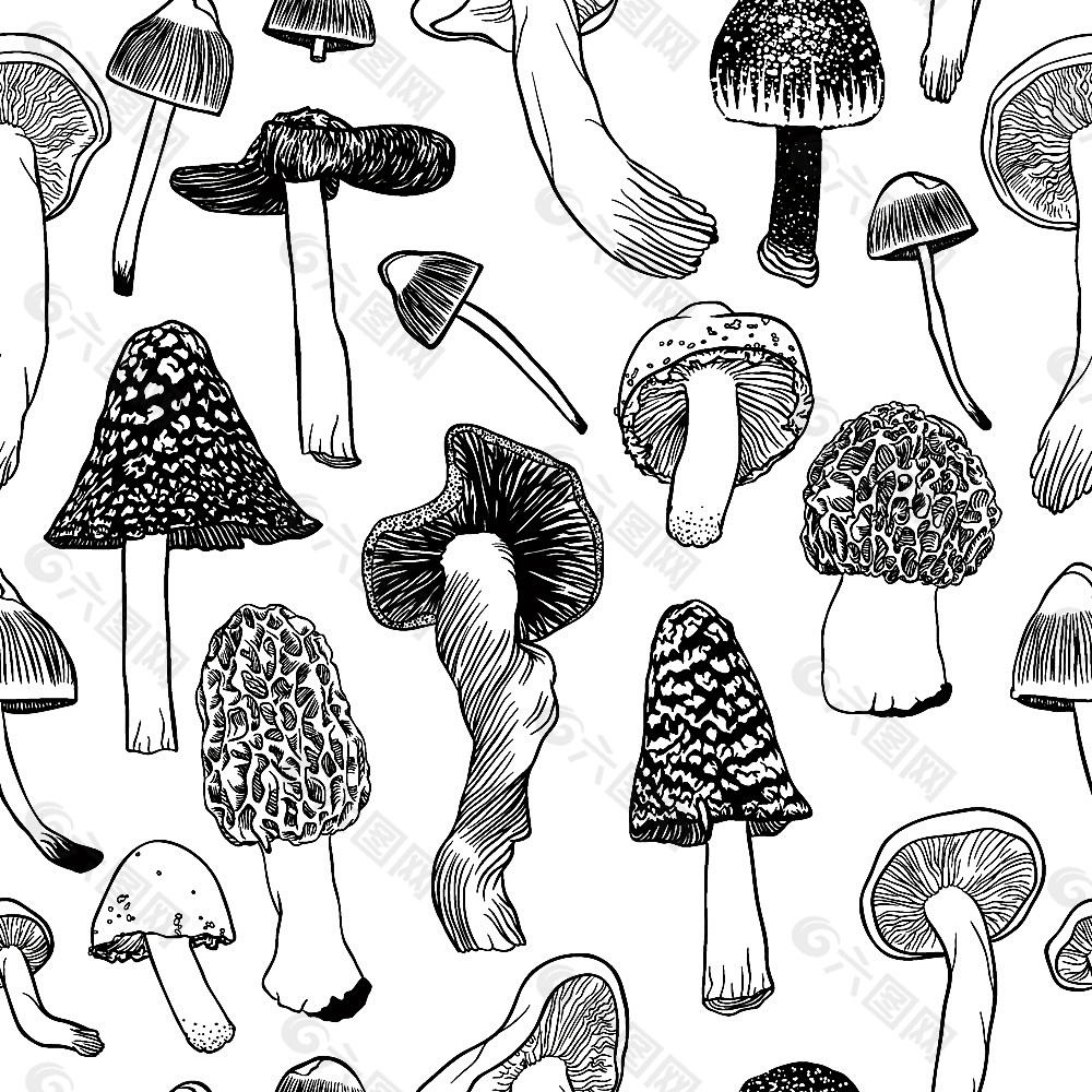 黑白手绘蘑菇设计