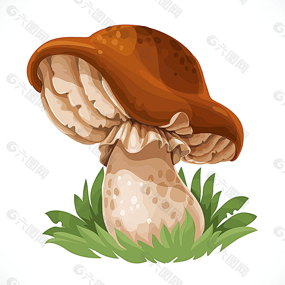 小草上的蘑菇设计