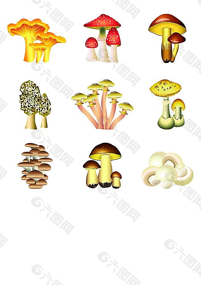 矢量蘑菇设计
