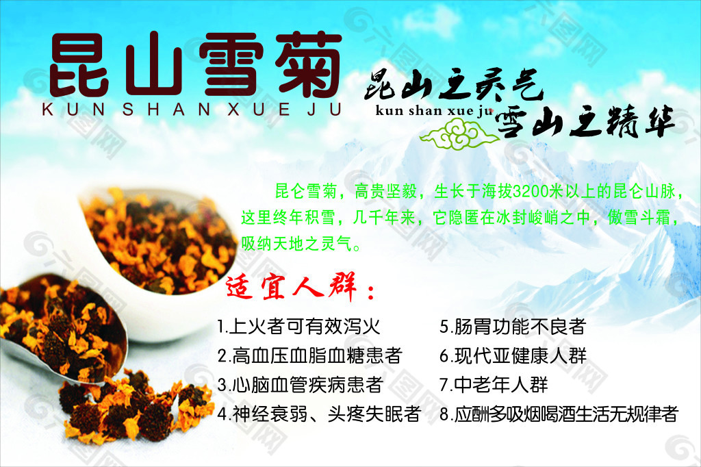 昆仑雪菊