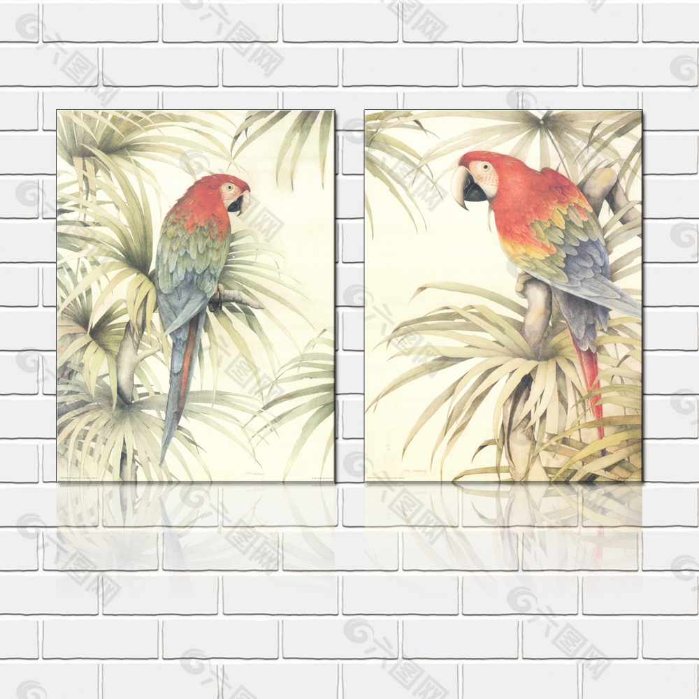 手绘鹦鹉壁画