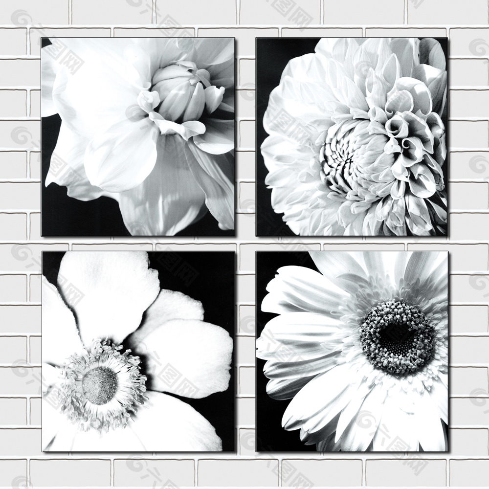 黑白花朵壁画