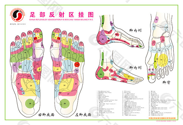 医疗挂图模板