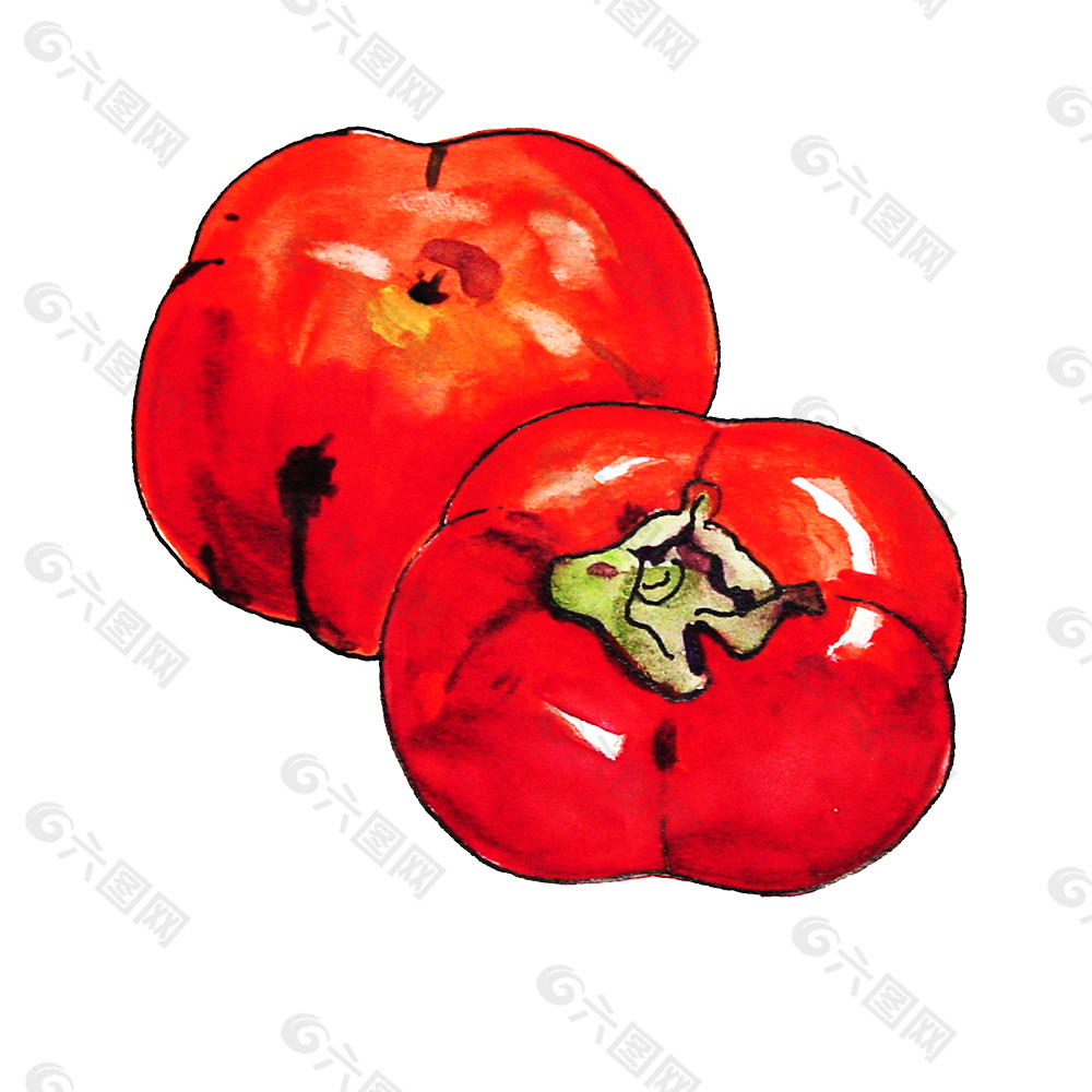 红彤彤的番茄