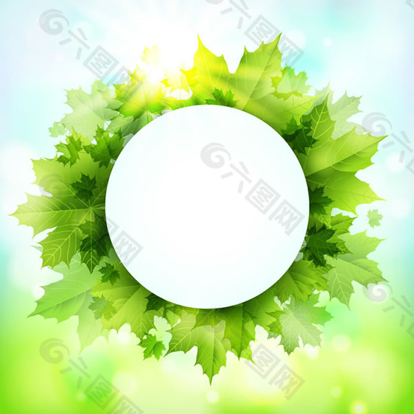 绿色枫叶装饰圆形标签背景矢量素材下载