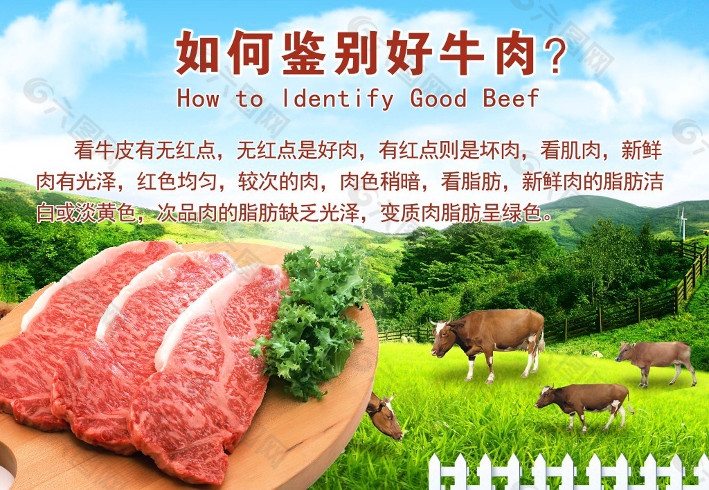 鉴别牛肉