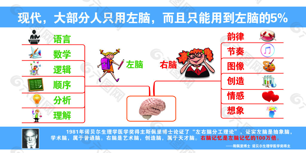 脑力展板  左右脑分析图