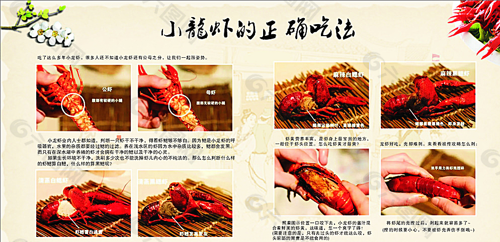 小龙虾的吃法图片