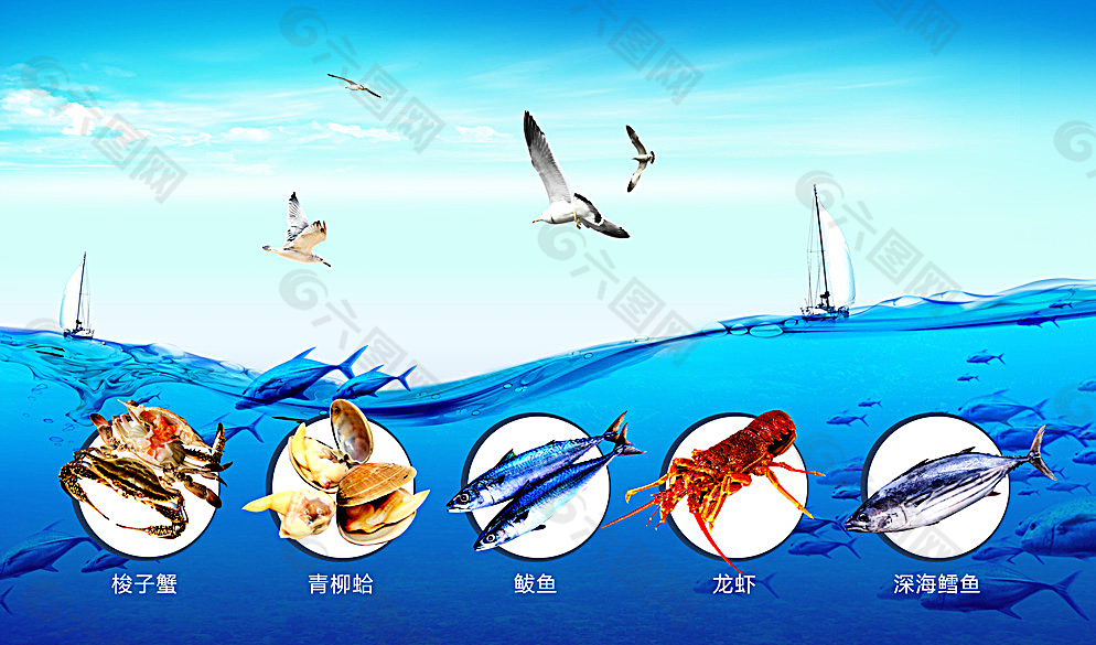 海产品海报图片