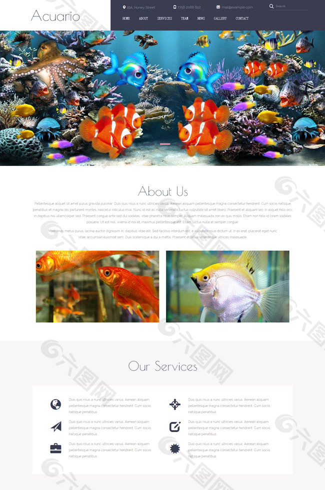 金鱼养殖网页素材