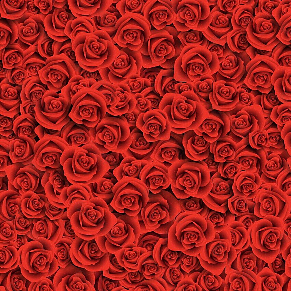 红色玫瑰花背景图片背景素材免费下载 图片编号 六图网
