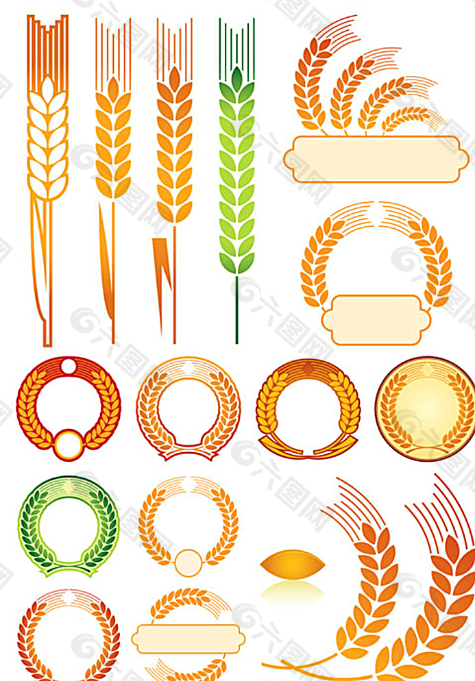 麦穗徽章图片
