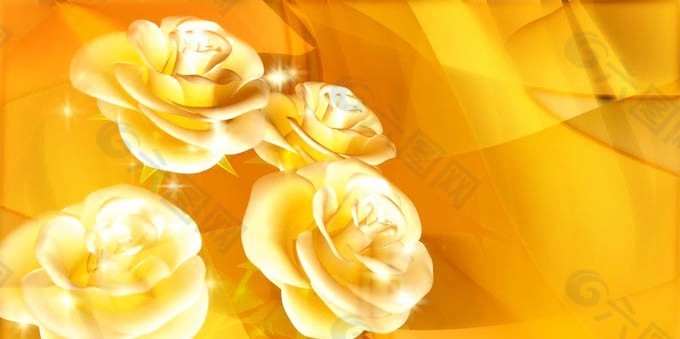 金色的玫瑰花视频素材