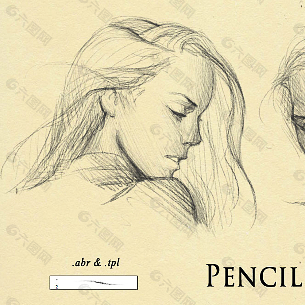 细致的铅笔素猫类笔触PS笔刷