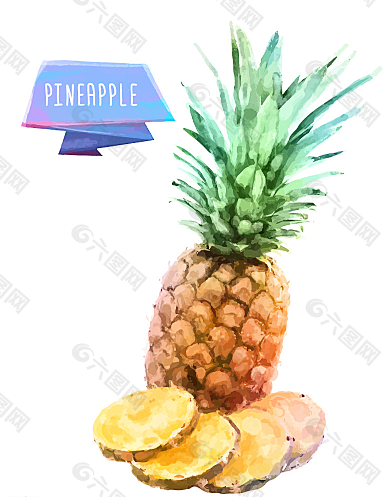 菠萝水果水彩矢量素材图片