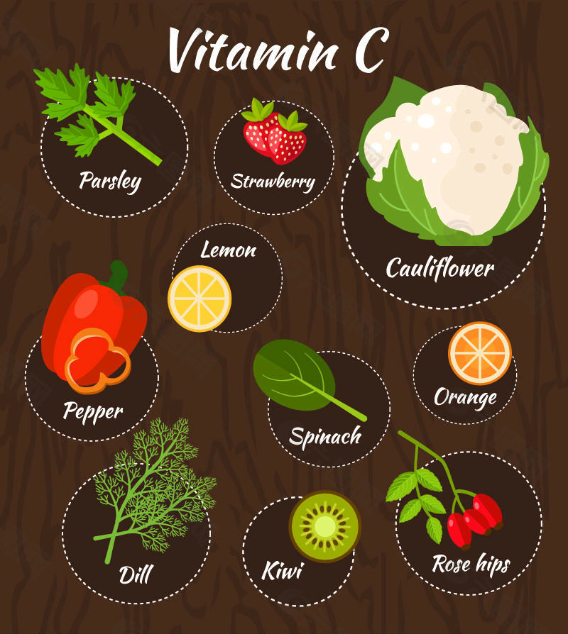 10款含维生素C的果蔬矢量图
