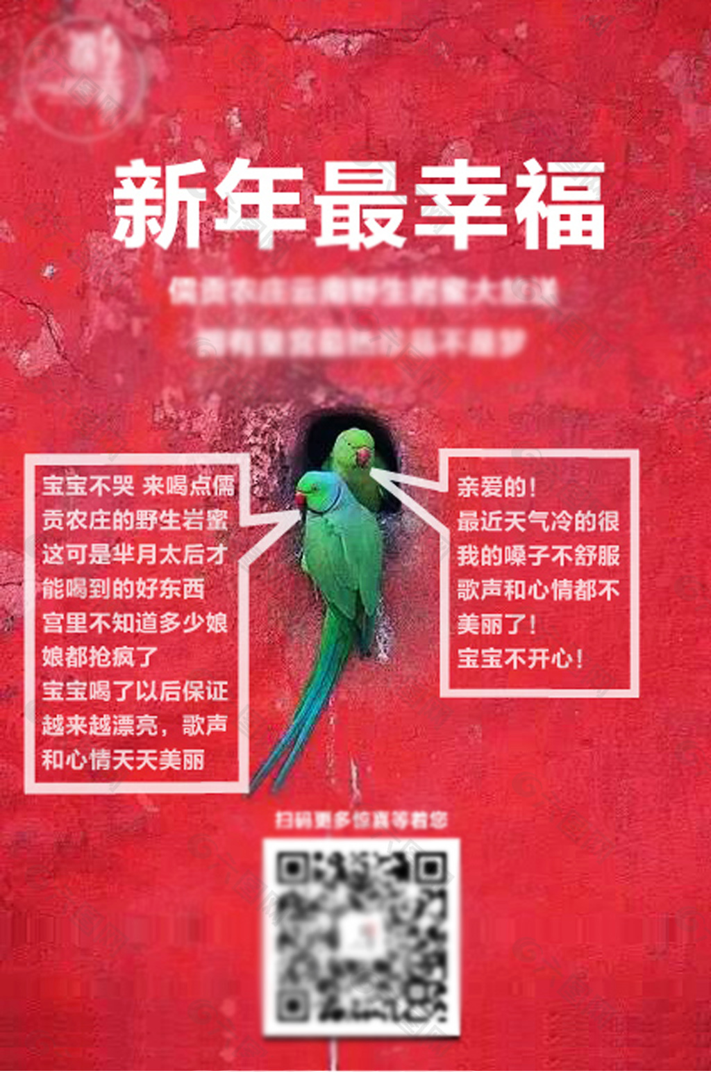 红墙 鹦鹉