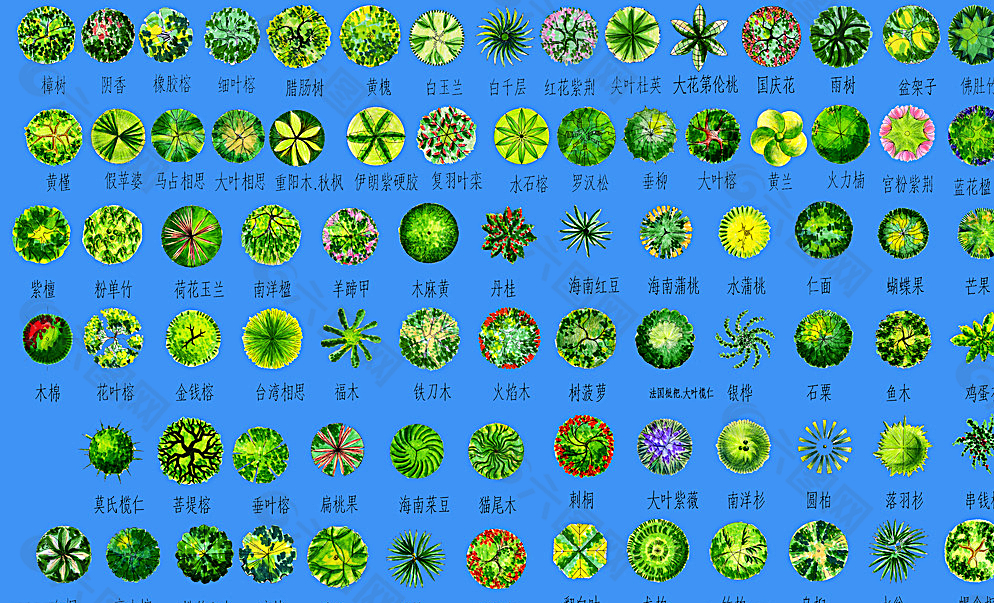 景观植物素材图片